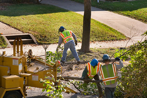 Leaf Removal in Walled Lake, MI